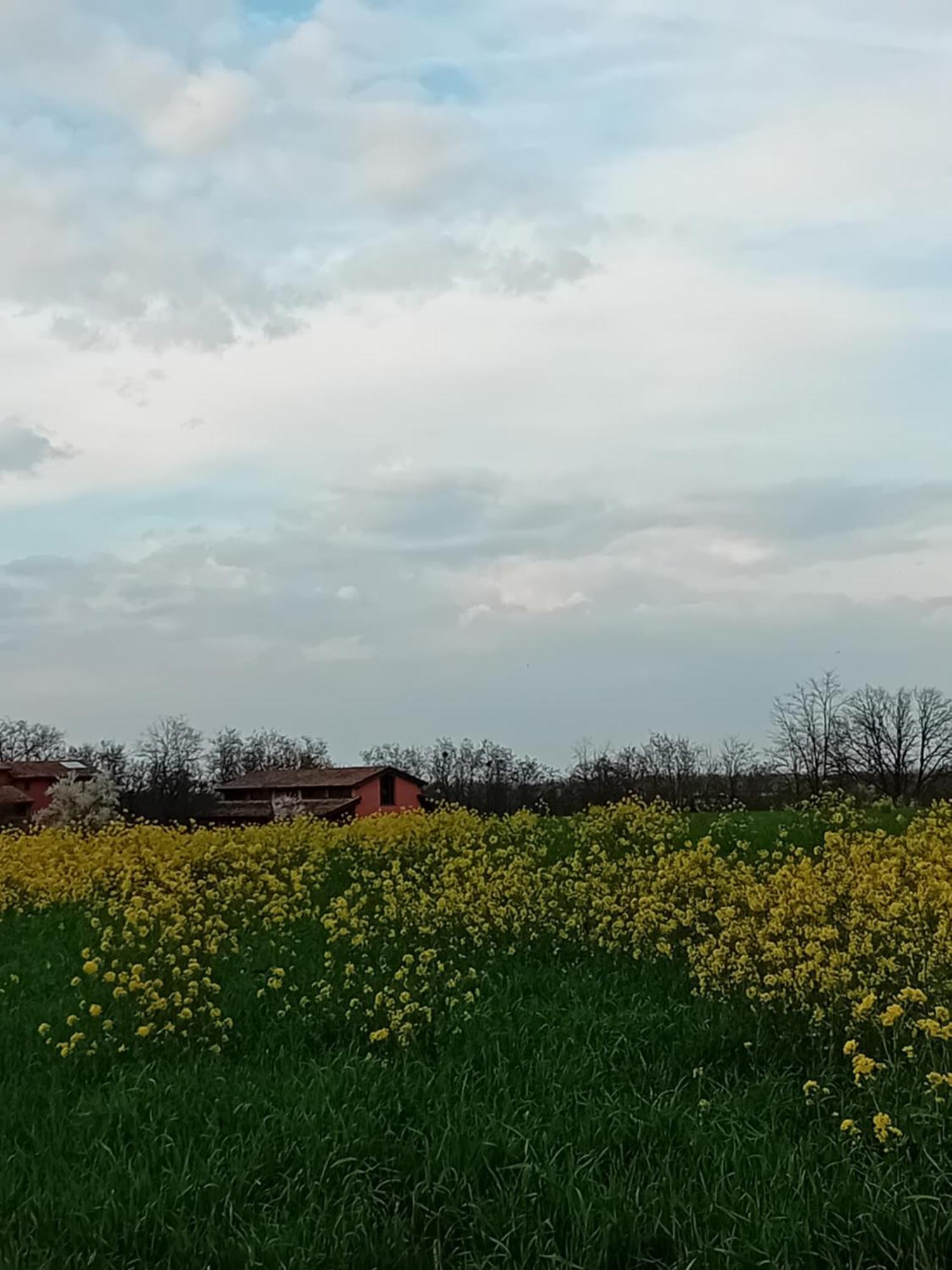 Montechiarugolo B&Ble Tre Gemme المظهر الخارجي الصورة